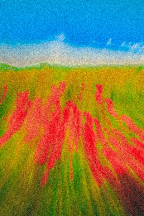 Les images de la semaine du 21 avril 2025 : la Terre à l’honneur